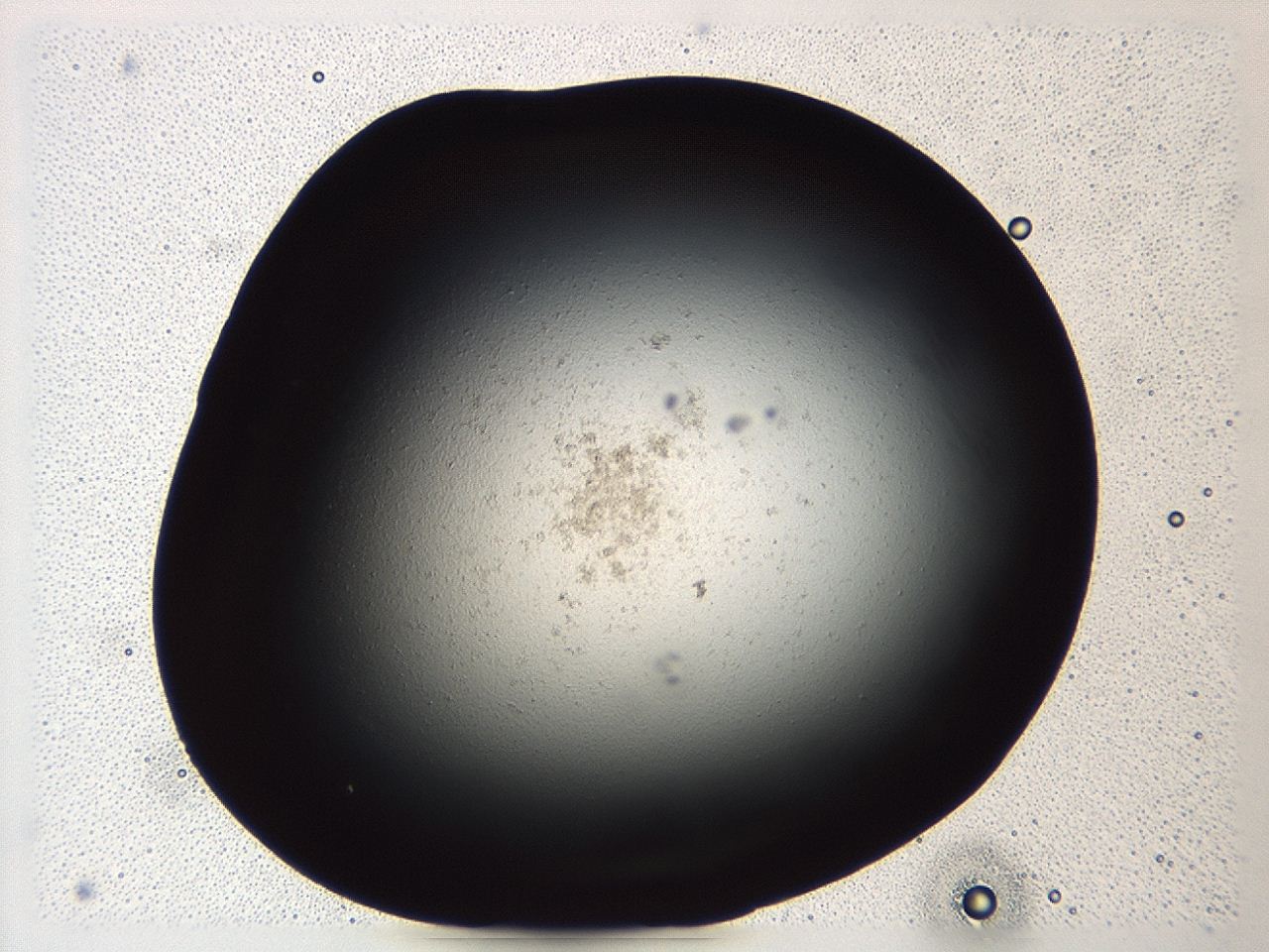 047e_A1_ImagerDefaults_3.jpg