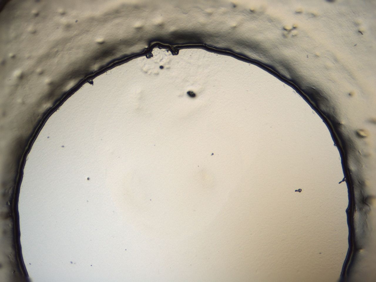 047e_A2_ImagerDefaults_3.jpg