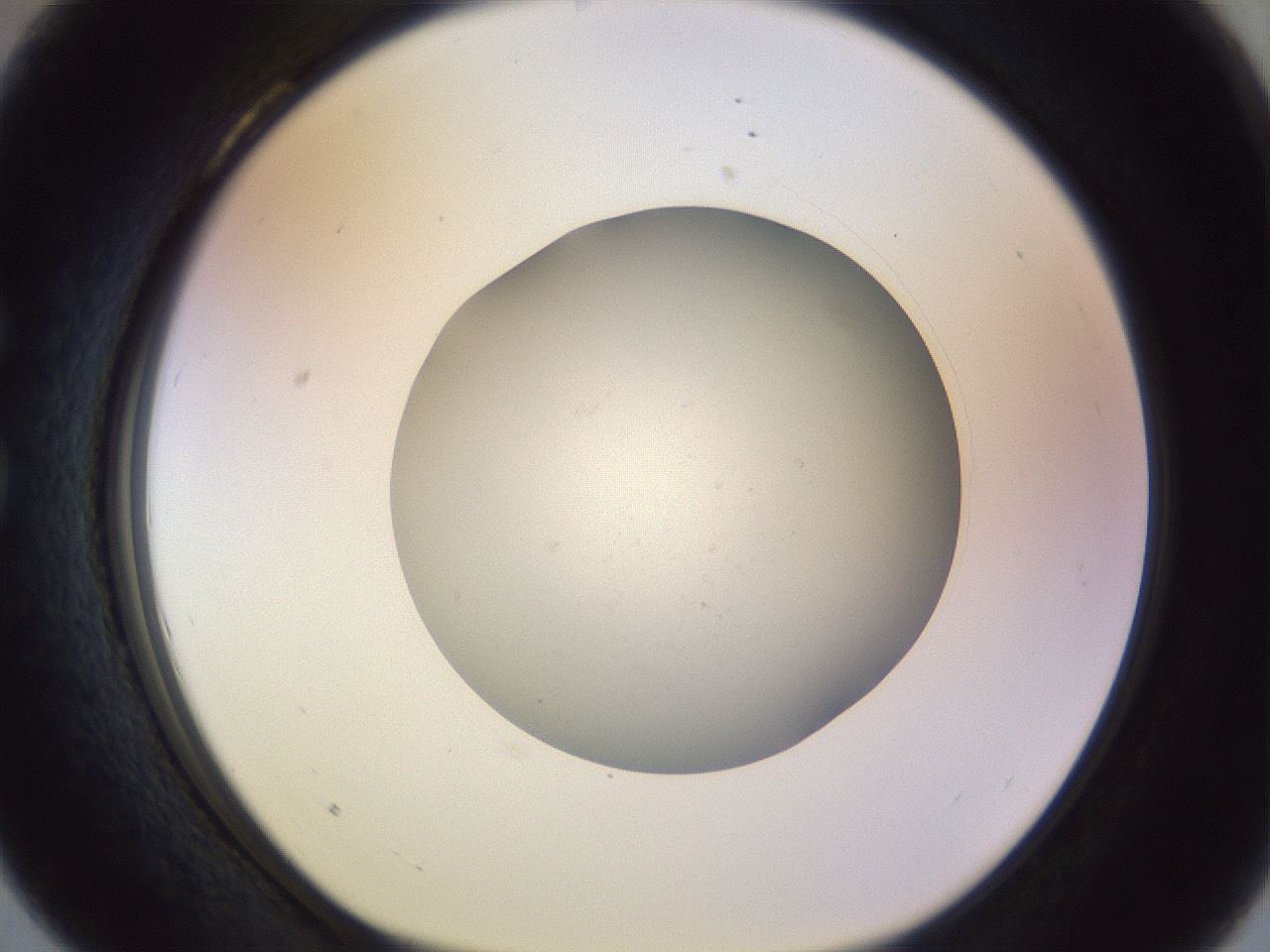 folderID504_plateID1504_batchID5814_wellNum28_profileID1_d1_r95564_ef.jpg