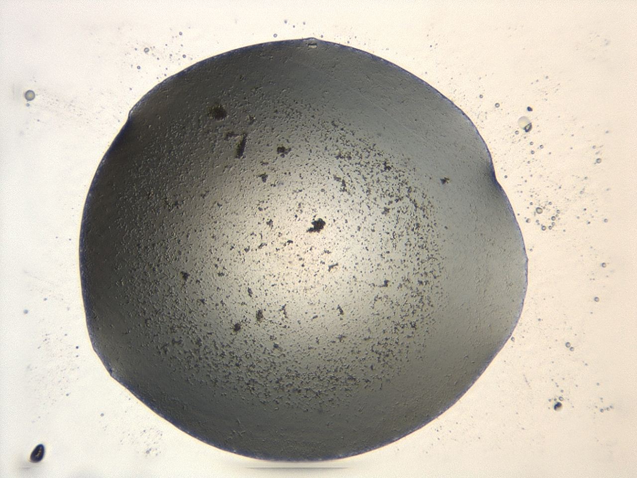 047e_A6_ImagerDefaults_3.jpg