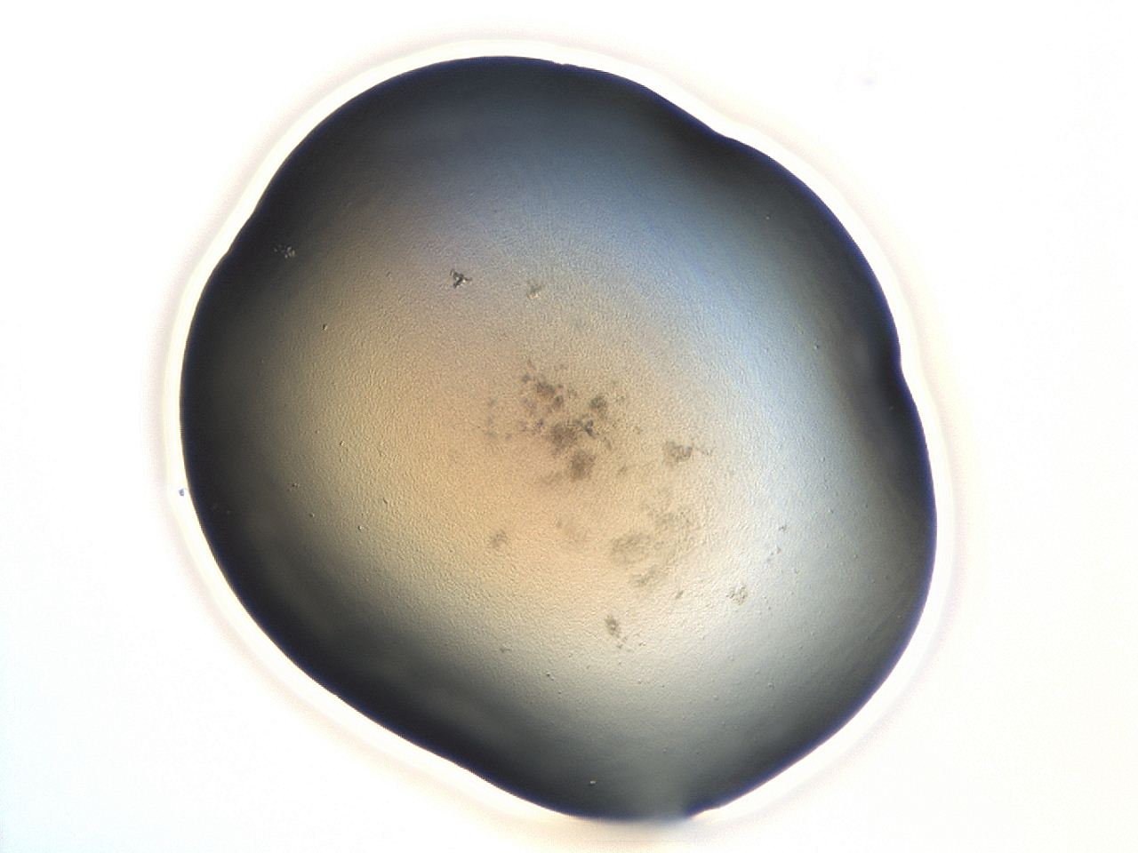 047e_A11_ImagerDefaults_3.jpg