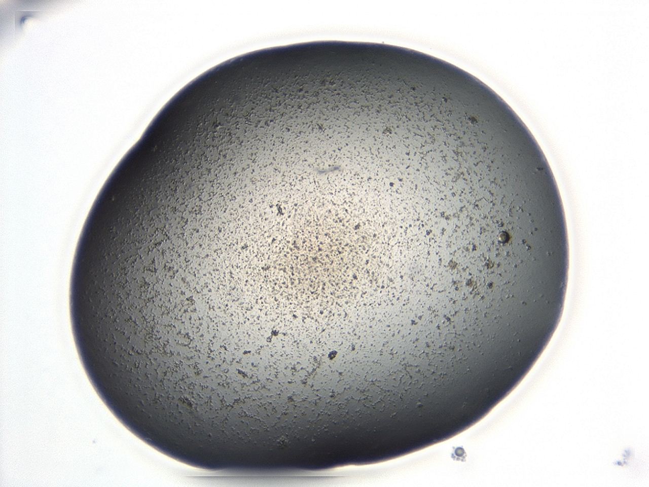 047e_B1_ImagerDefaults_3.jpg