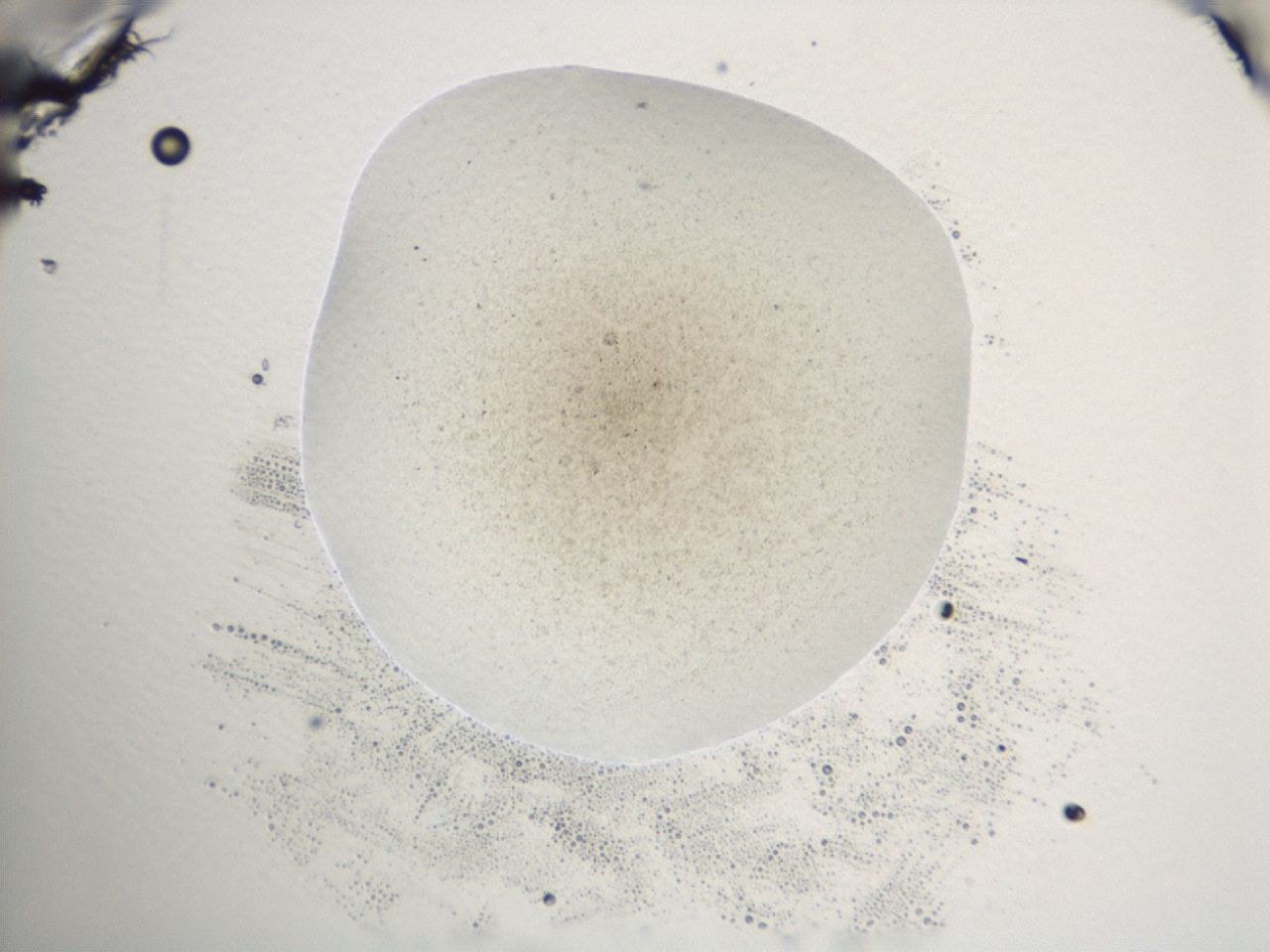 047e_B3_ImagerDefaults_3.jpg