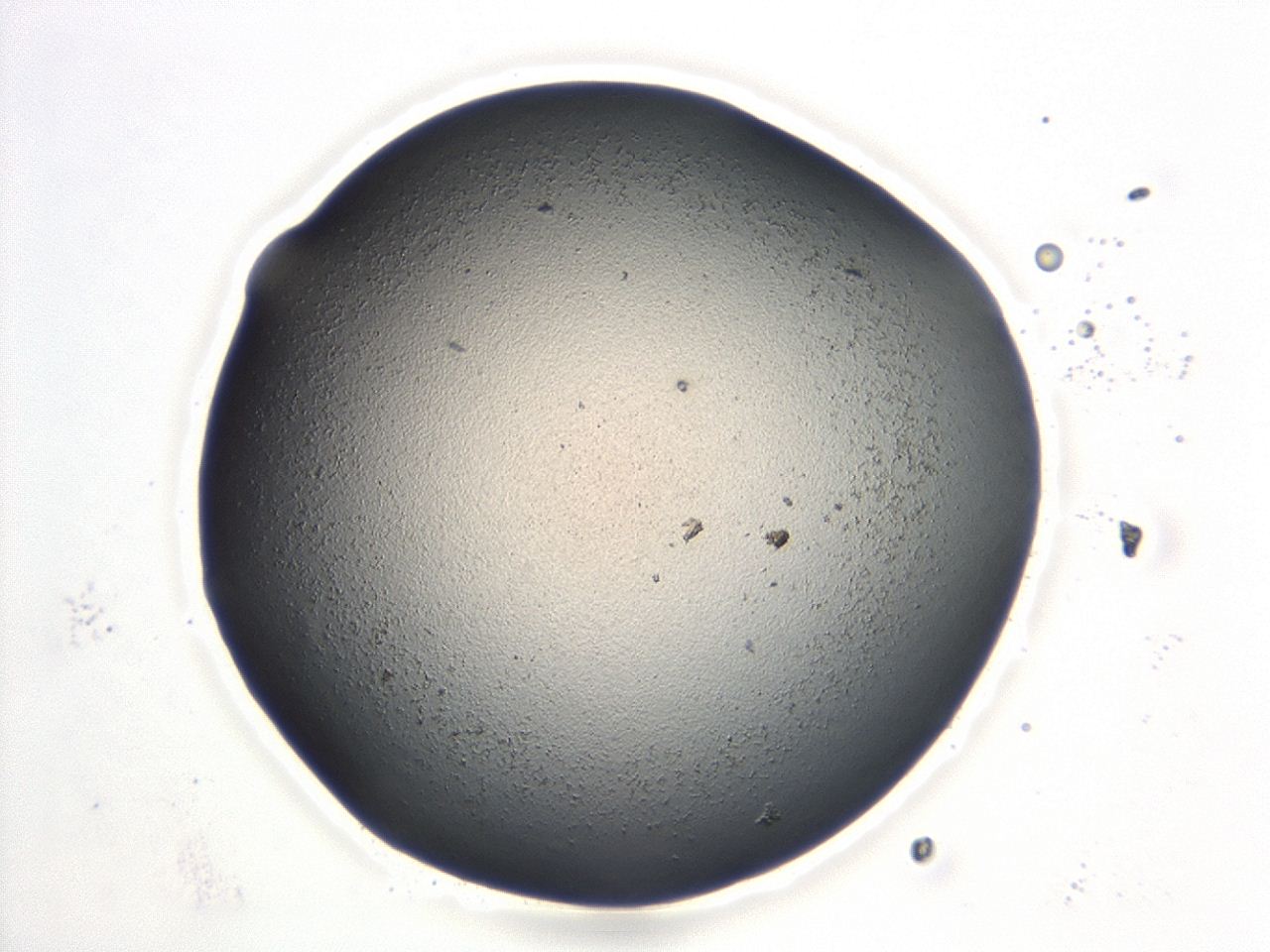 047e_B5_ImagerDefaults_2.jpg