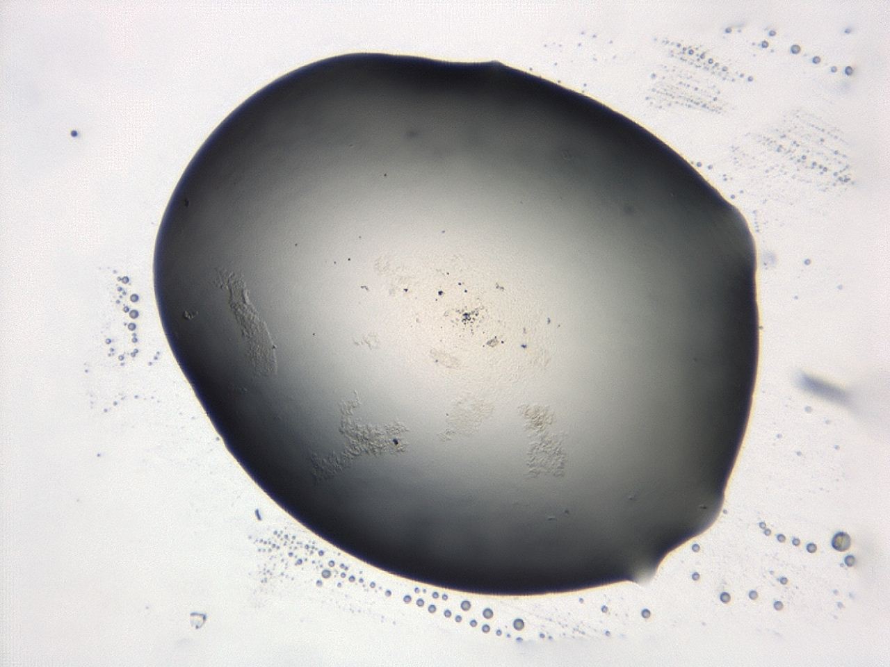 047e_D10_ImagerDefaults_0.jpg