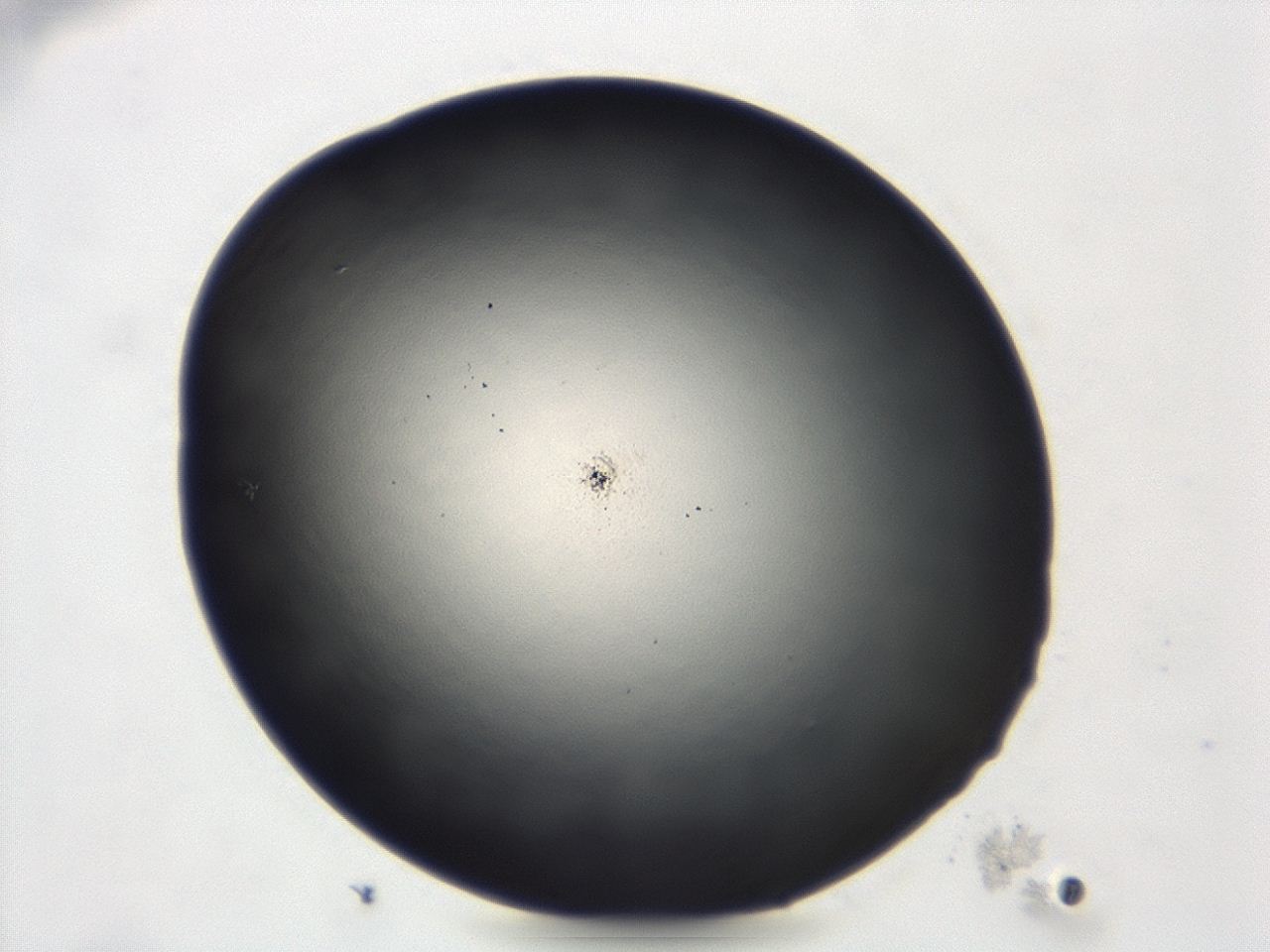 047e_D11_ImagerDefaults_0.jpg
