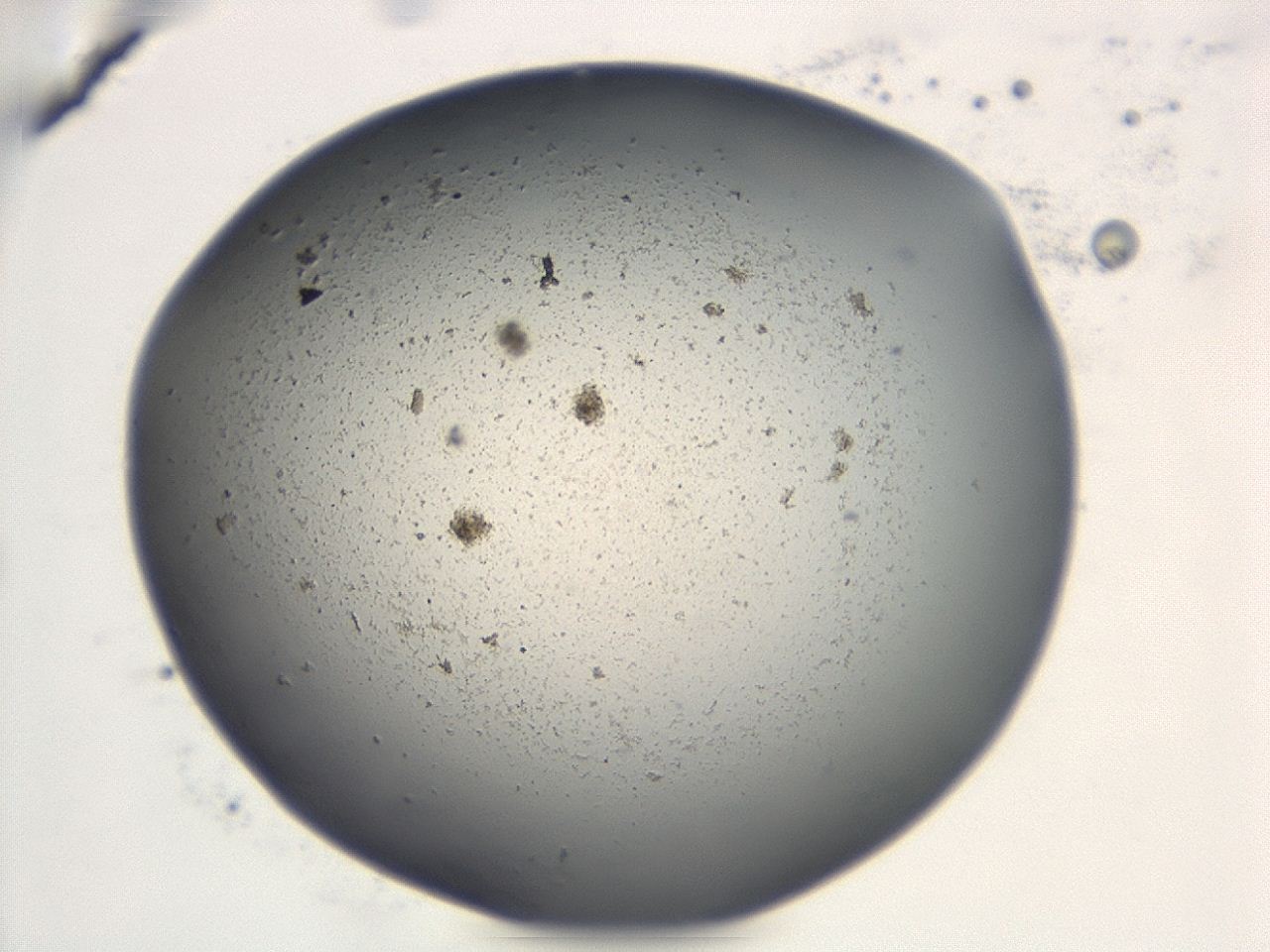 047e_D12_ImagerDefaults_3.jpg