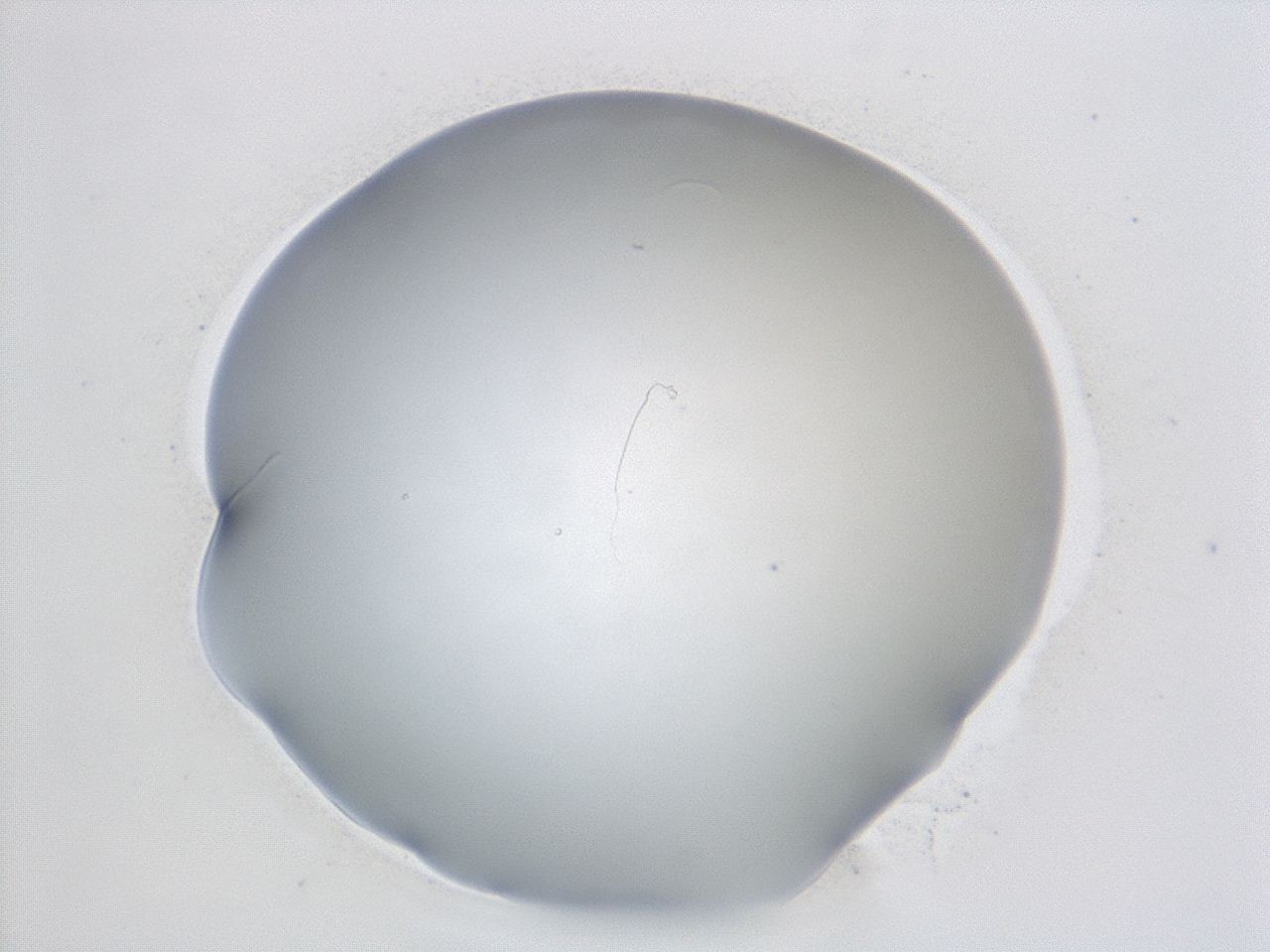 047e_E2_ImagerDefaults_0.jpg