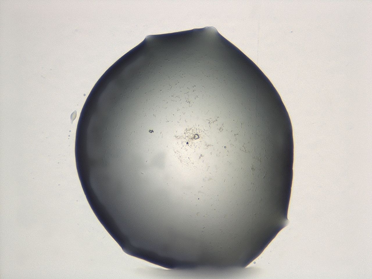 047e_E4_ImagerDefaults_0.jpg