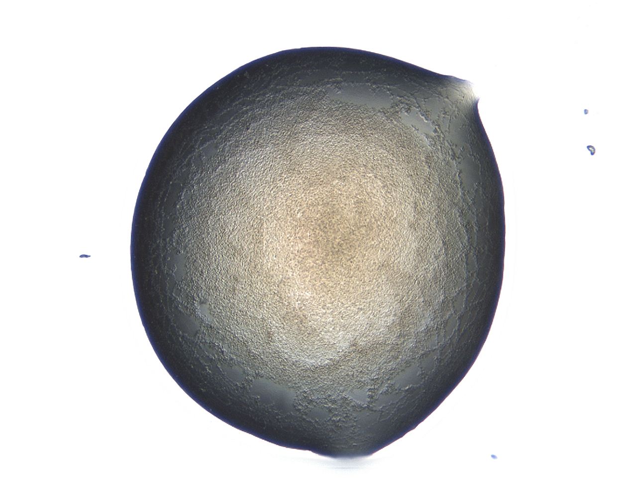047e_E6_ImagerDefaults_3.jpg