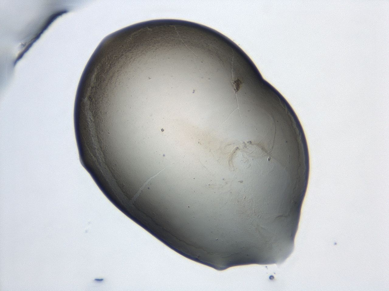 047e_B10_ImagerDefaults_3.jpg