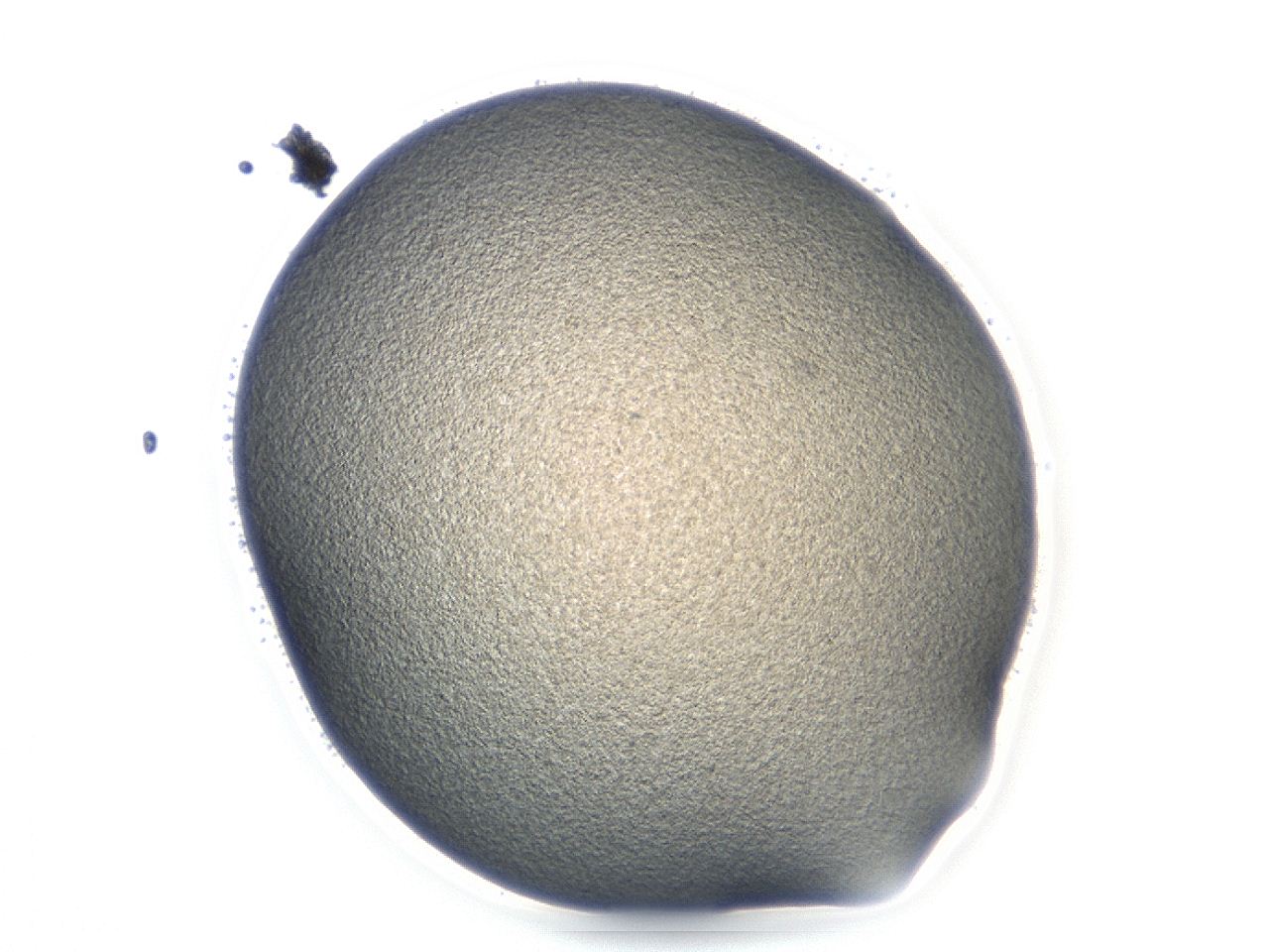 047e_E10_ImagerDefaults_3.jpg