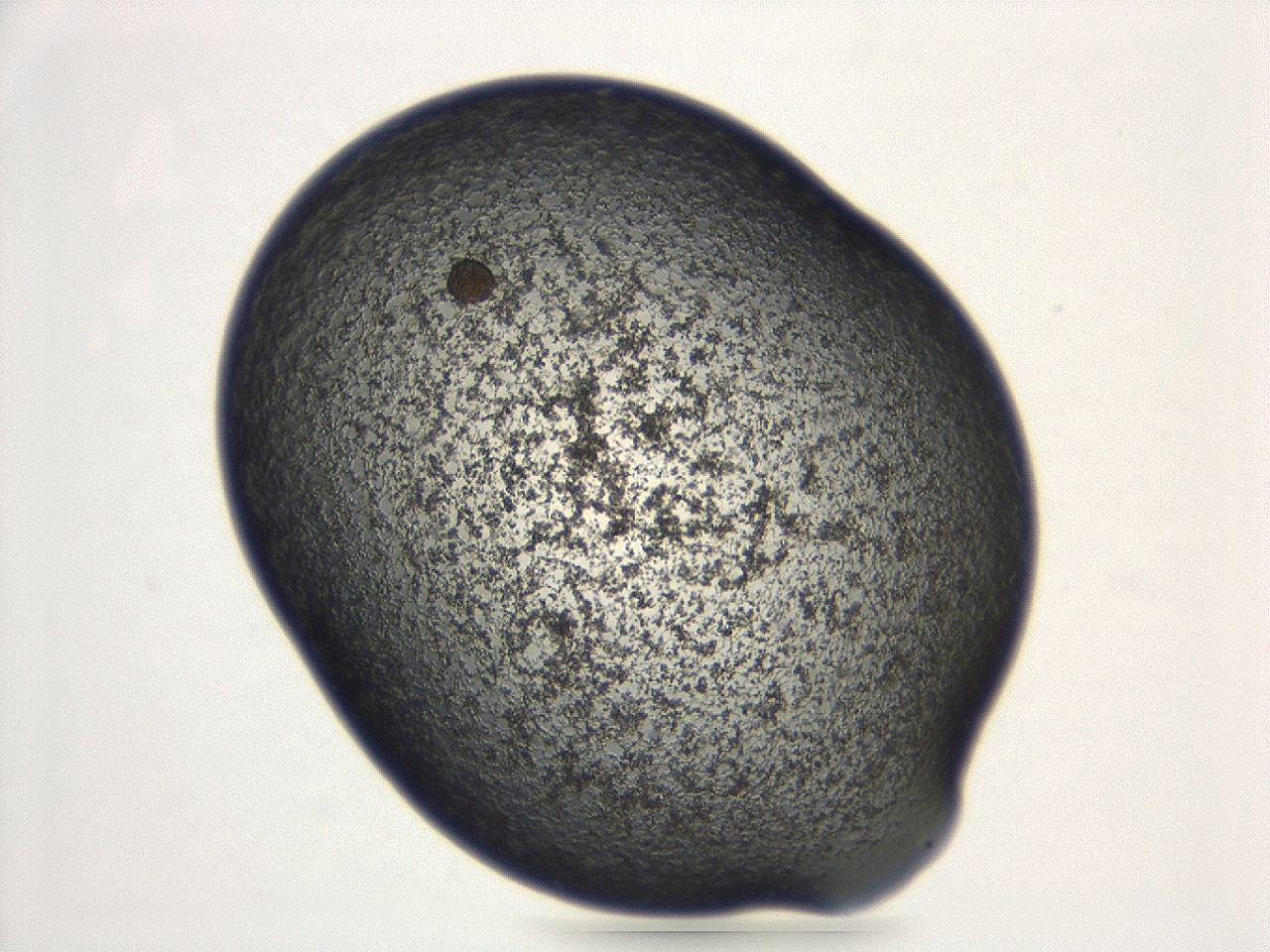 047e_E11_ImagerDefaults_3.jpg