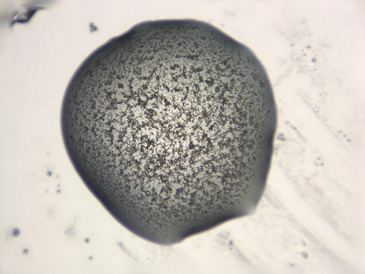 047e_E12_ImagerDefaults_3.jpg