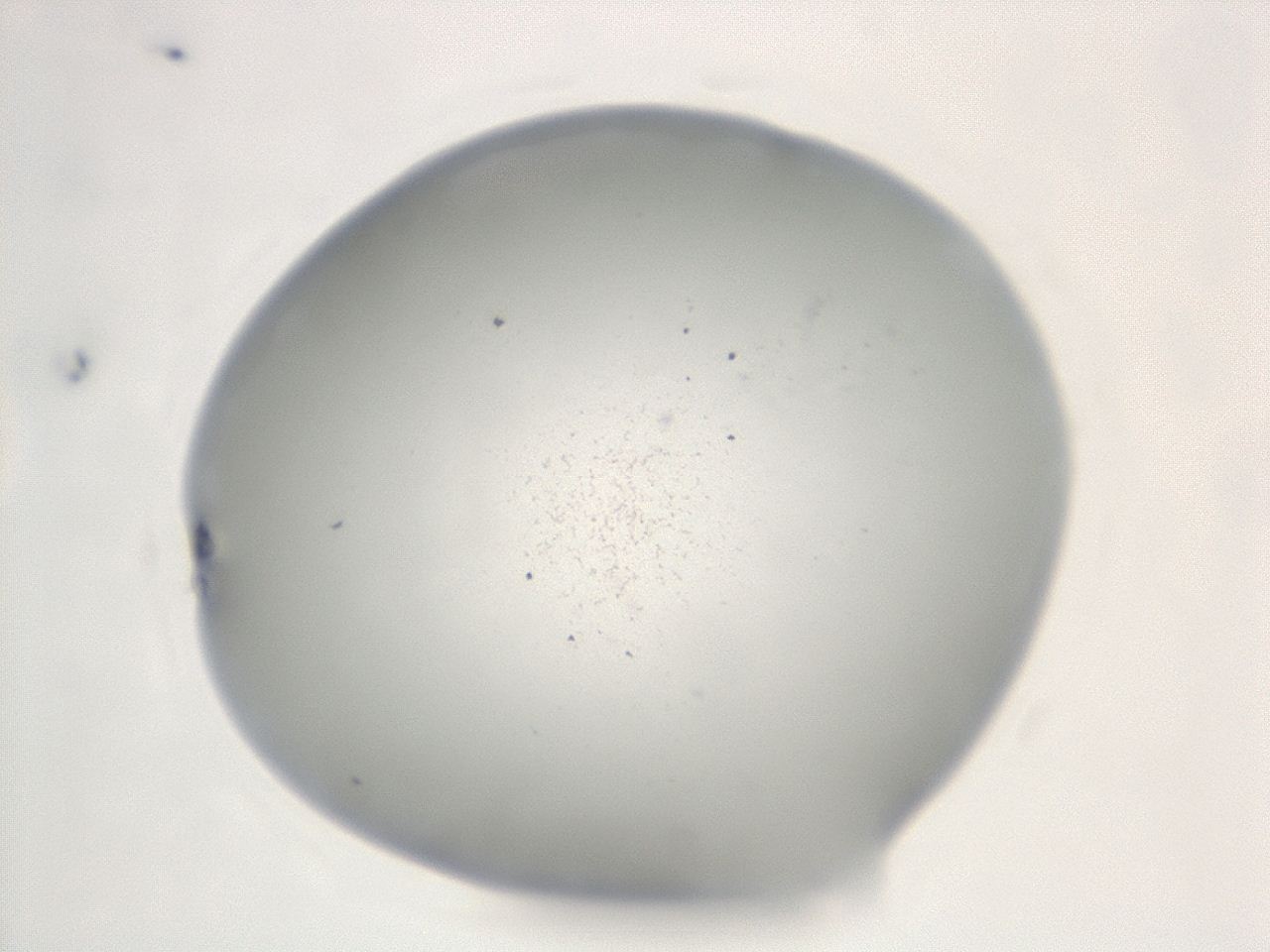 047e_F1_ImagerDefaults_1.jpg