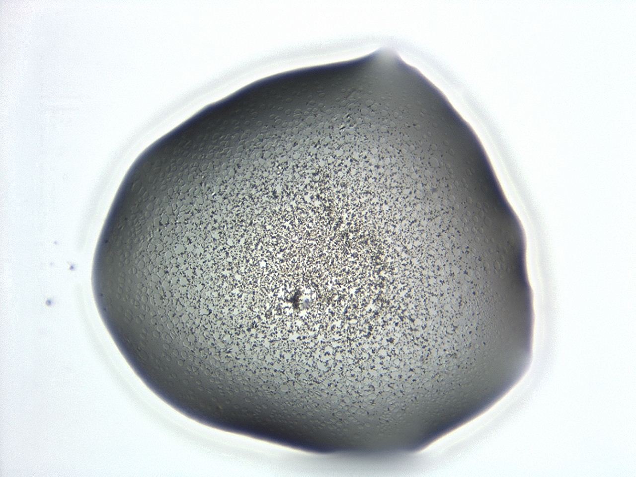 047e_F2_ImagerDefaults_3.jpg