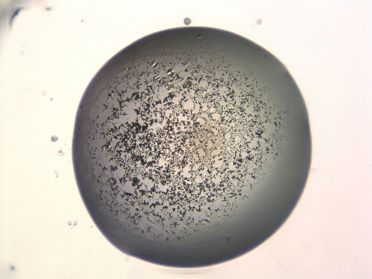 047e_F11_ImagerDefaults_3.jpg