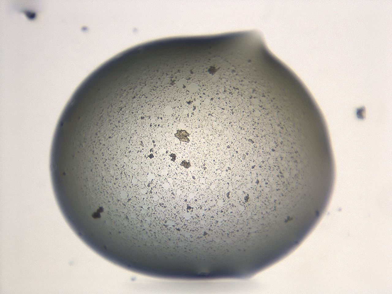 047e_G1_ImagerDefaults_3.jpg
