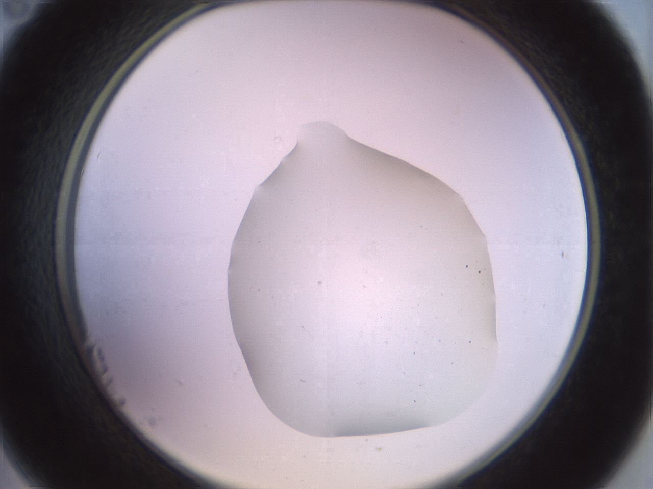 folderID503_plateID3503_batchID22122_wellNum23_profileID1_d2_r314739_ef.jpg