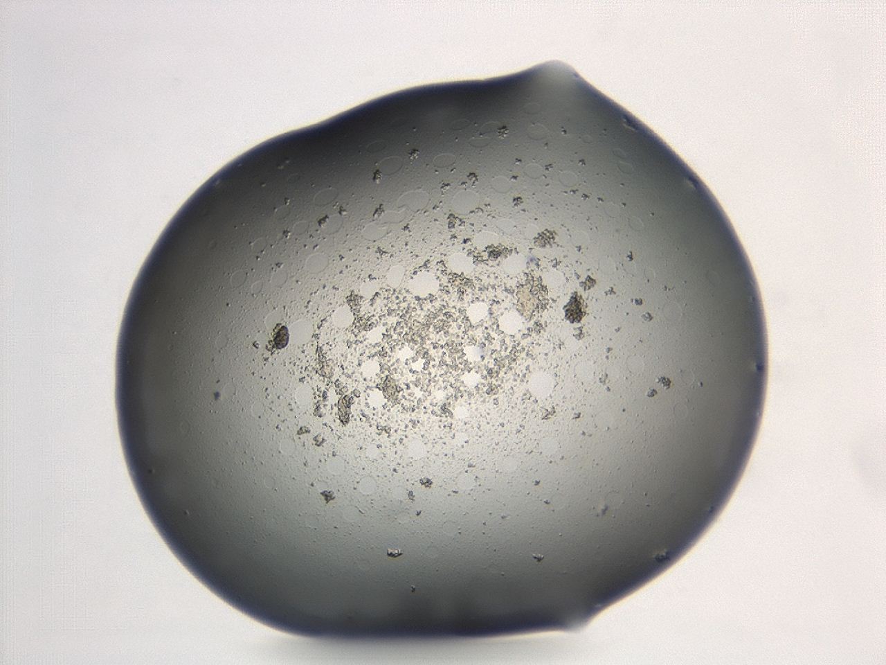 047e_G4_ImagerDefaults_3.jpg
