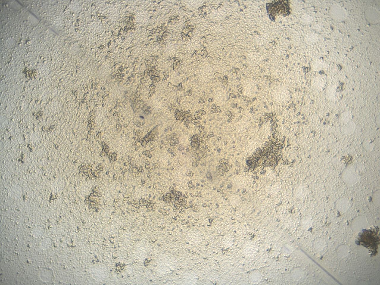047e_G5_ImagerDefaults_3.jpg