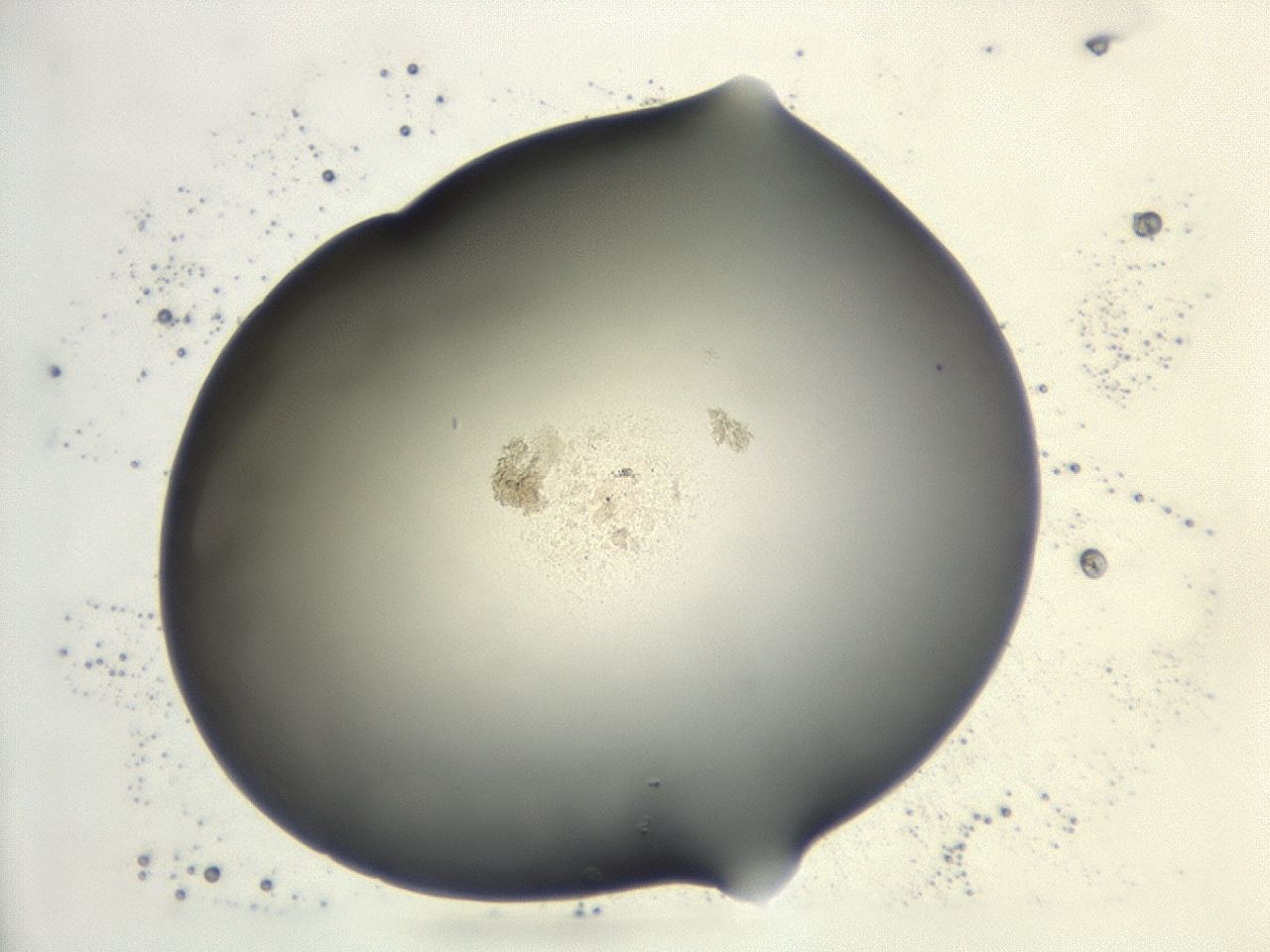 047e_G6_ImagerDefaults_0.jpg