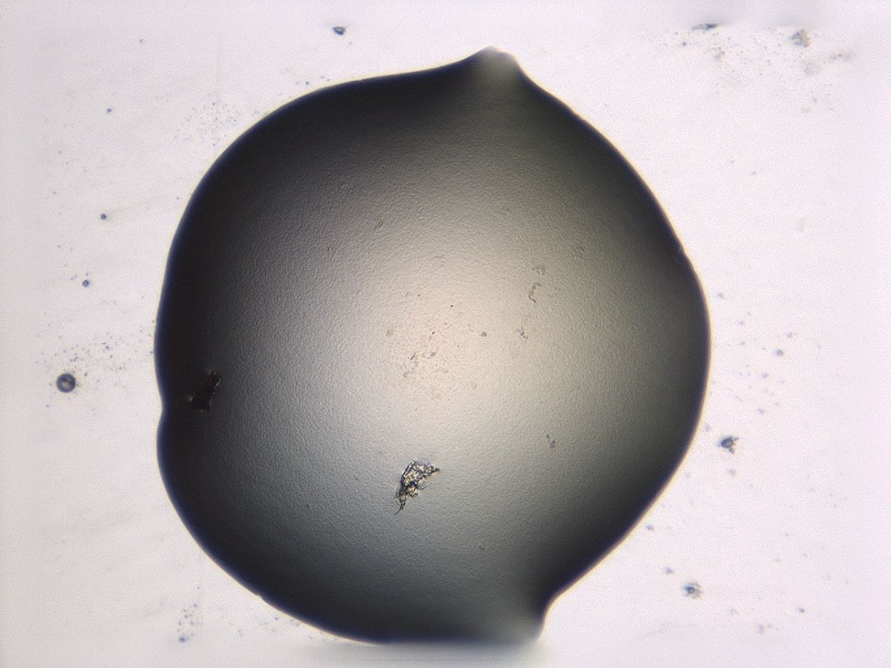 047e_G7_ImagerDefaults_0.jpg