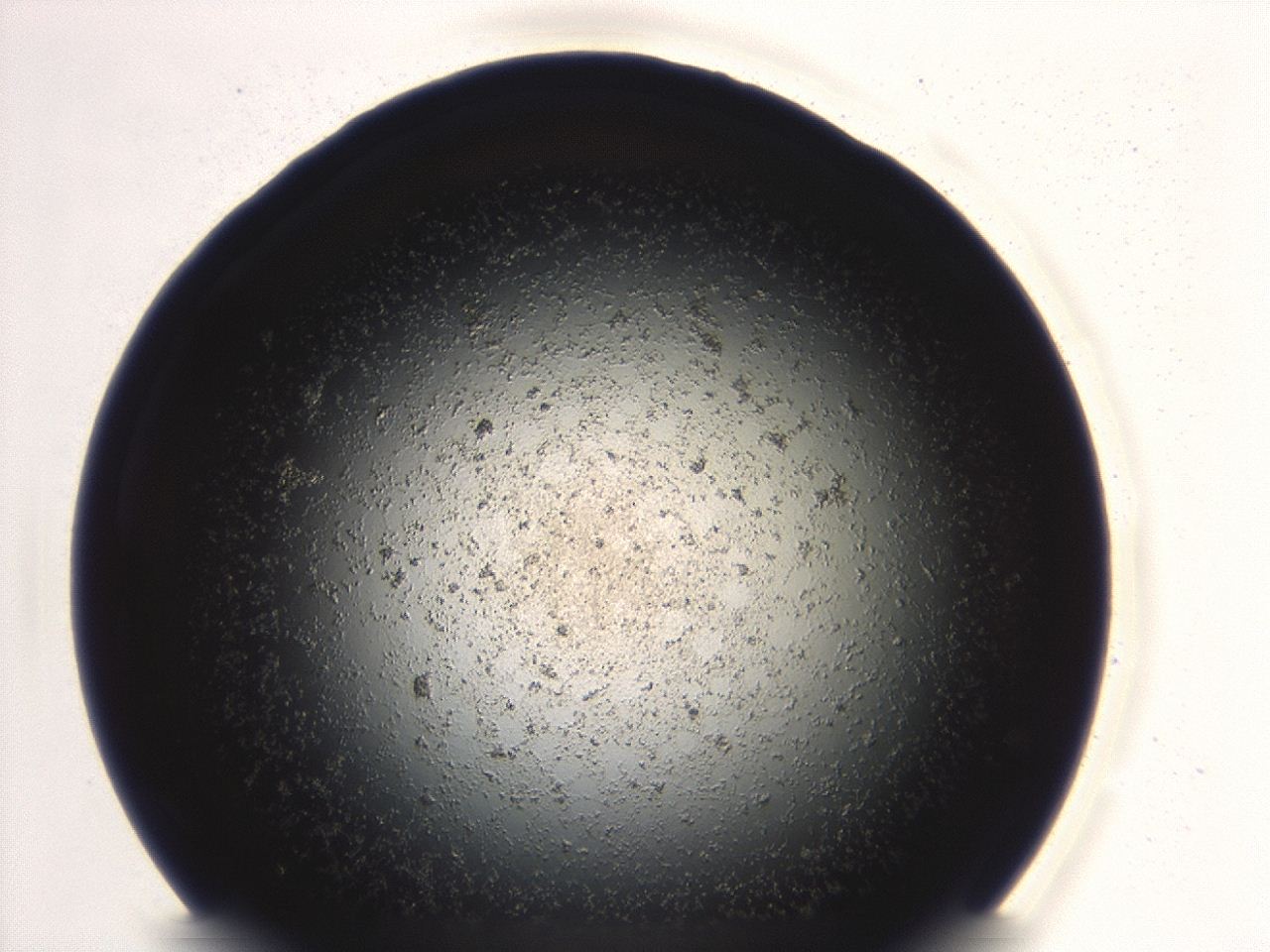 047e_G8_ImagerDefaults_3.jpg