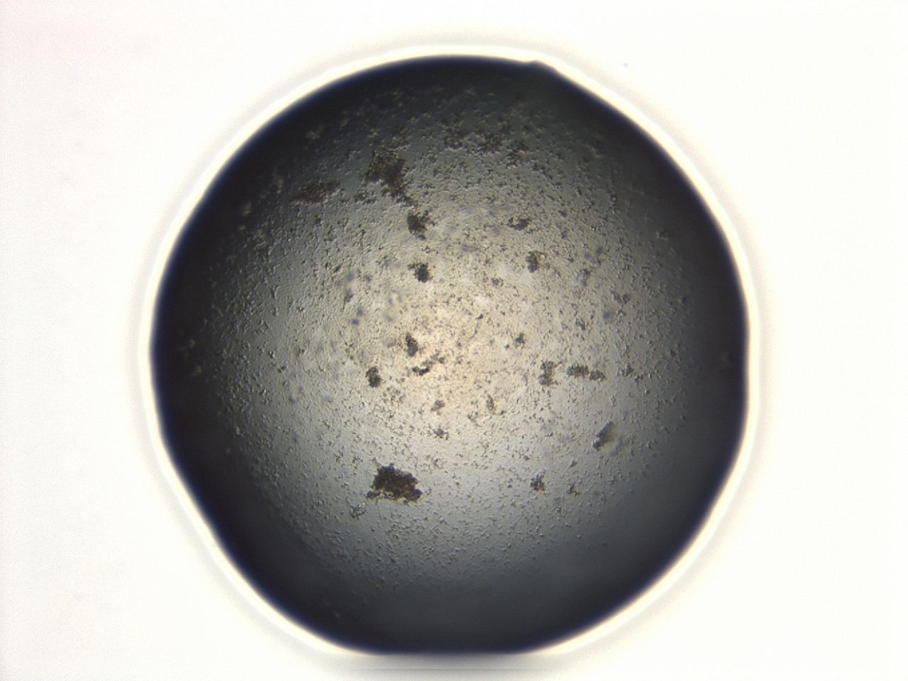 047e_G9_ImagerDefaults_3.jpg