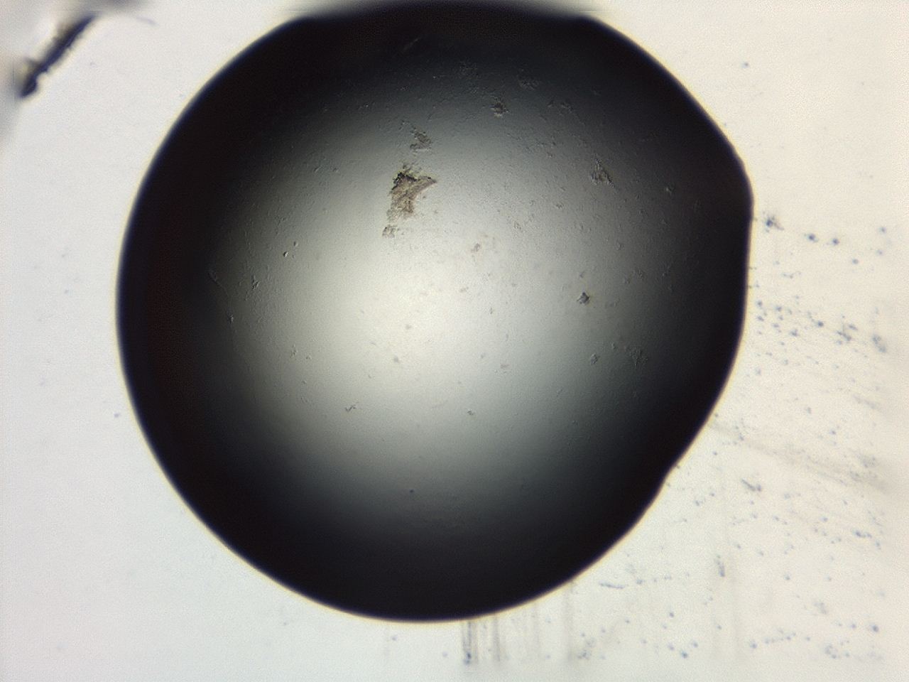 047e_G10_ImagerDefaults_0.jpg