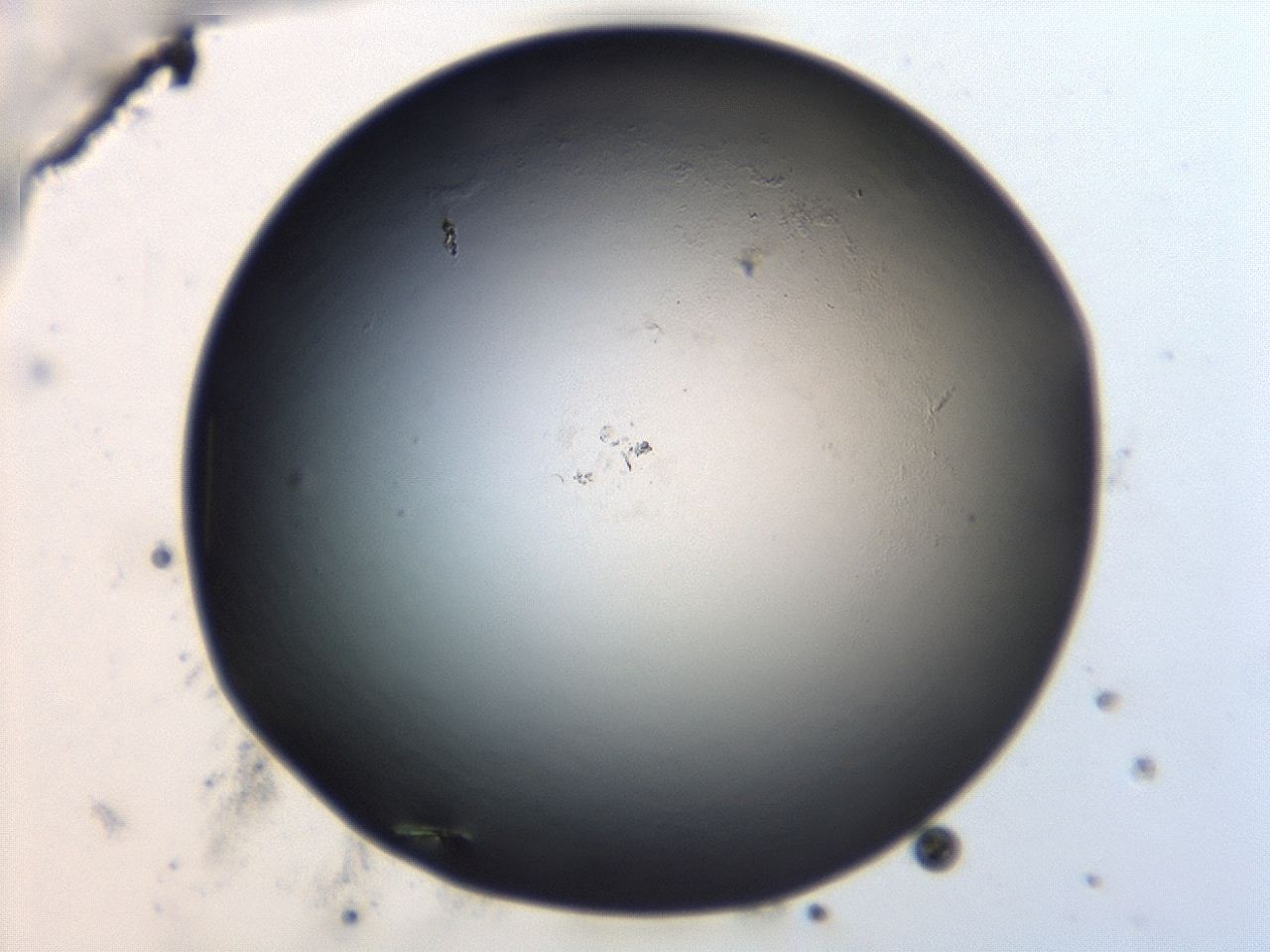 047e_G11_ImagerDefaults_0.jpg