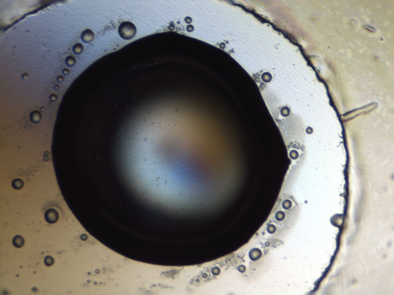 047e_H5_ImagerDefaults_0.jpg