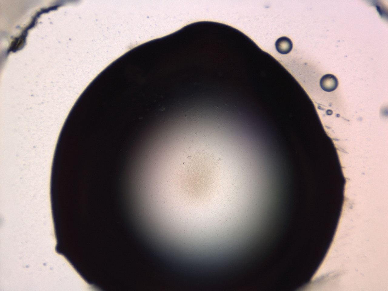 047e_H6_ImagerDefaults_0.jpg