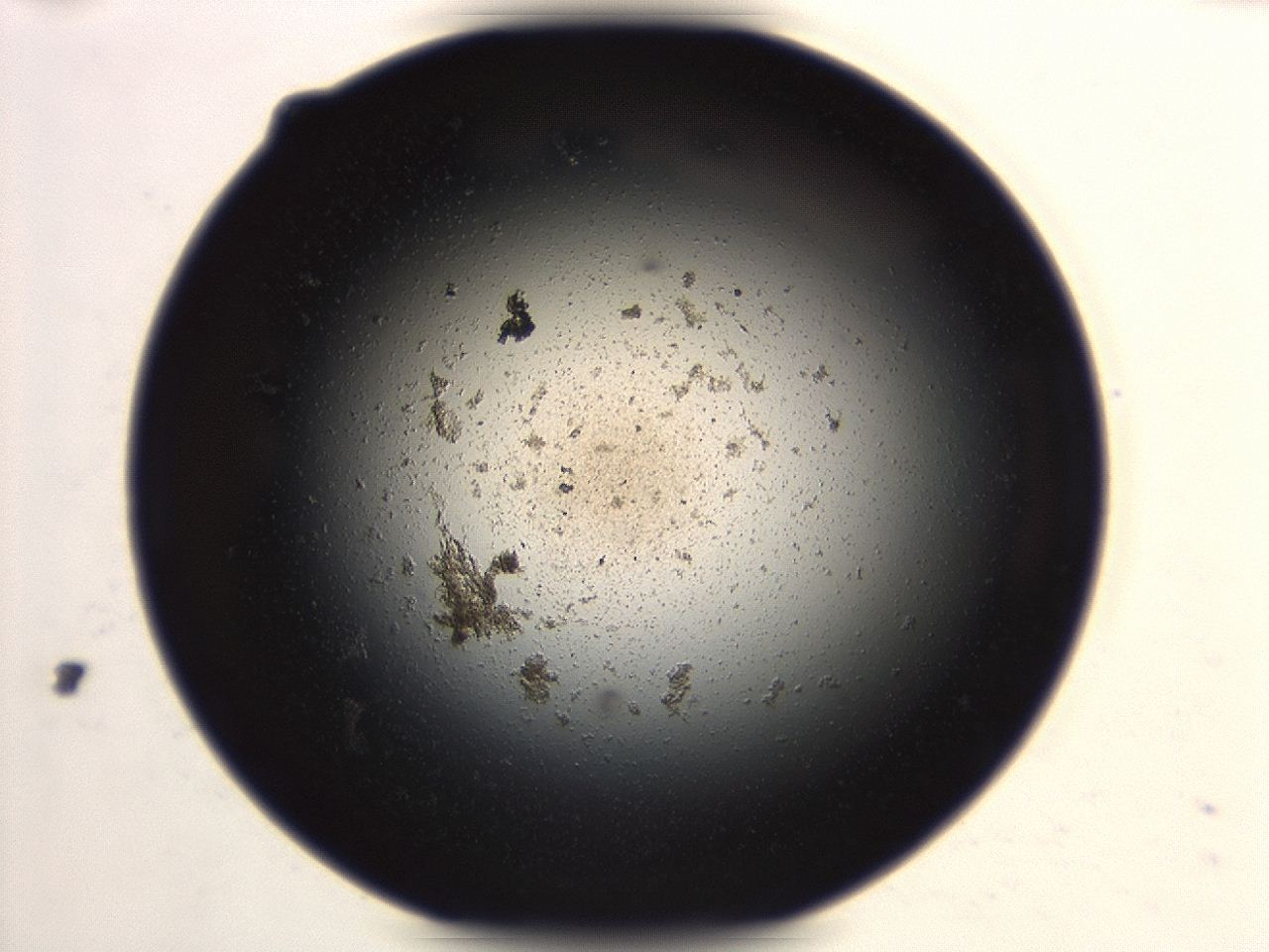 047e_H10_ImagerDefaults_3.jpg