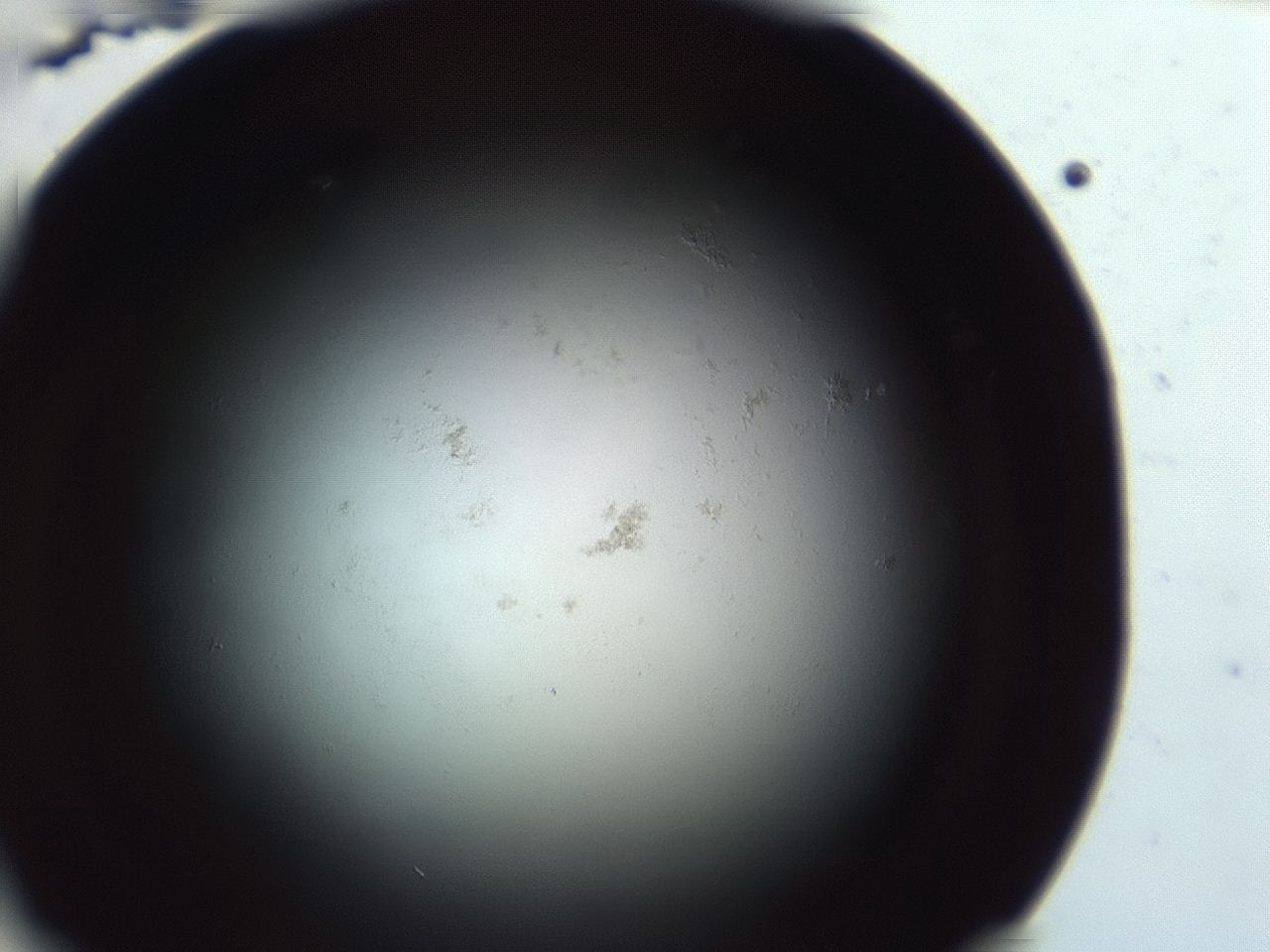 047e_H11_ImagerDefaults_0.jpg