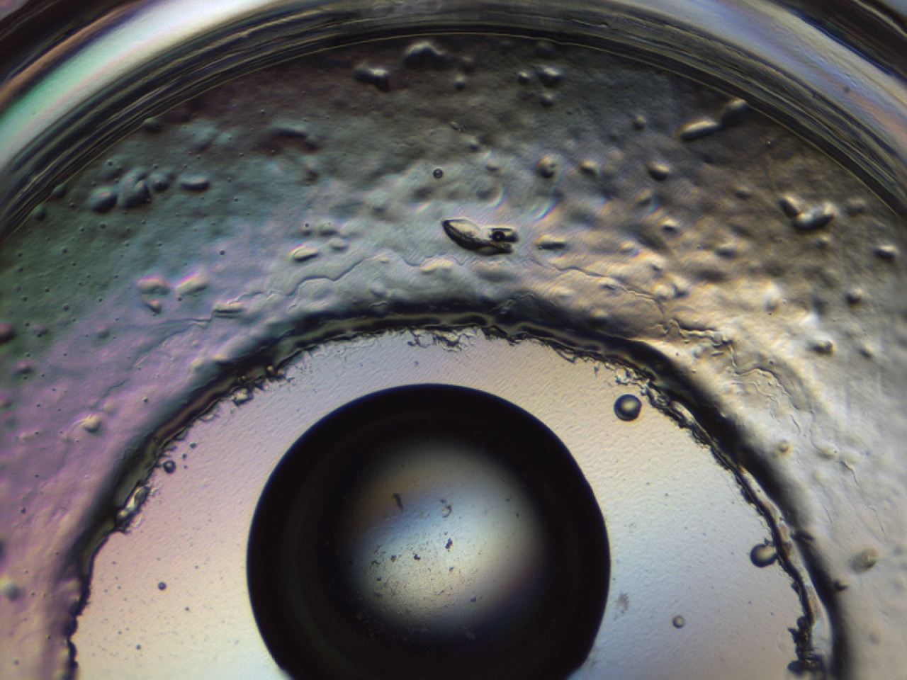 047e_H12_ImagerDefaults_3.jpg