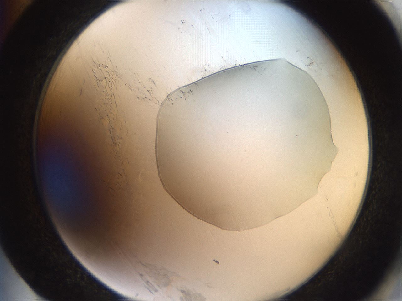 folderID510_plateID3510_batchID21542_wellNum85_profileID1_d2_r315055_ef.jpg