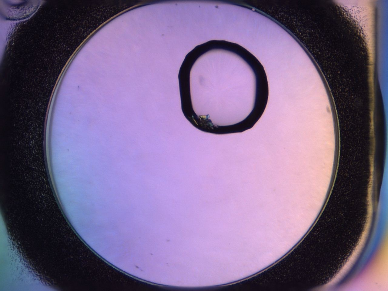 047y_D10_ImagerDefaults_9.jpg