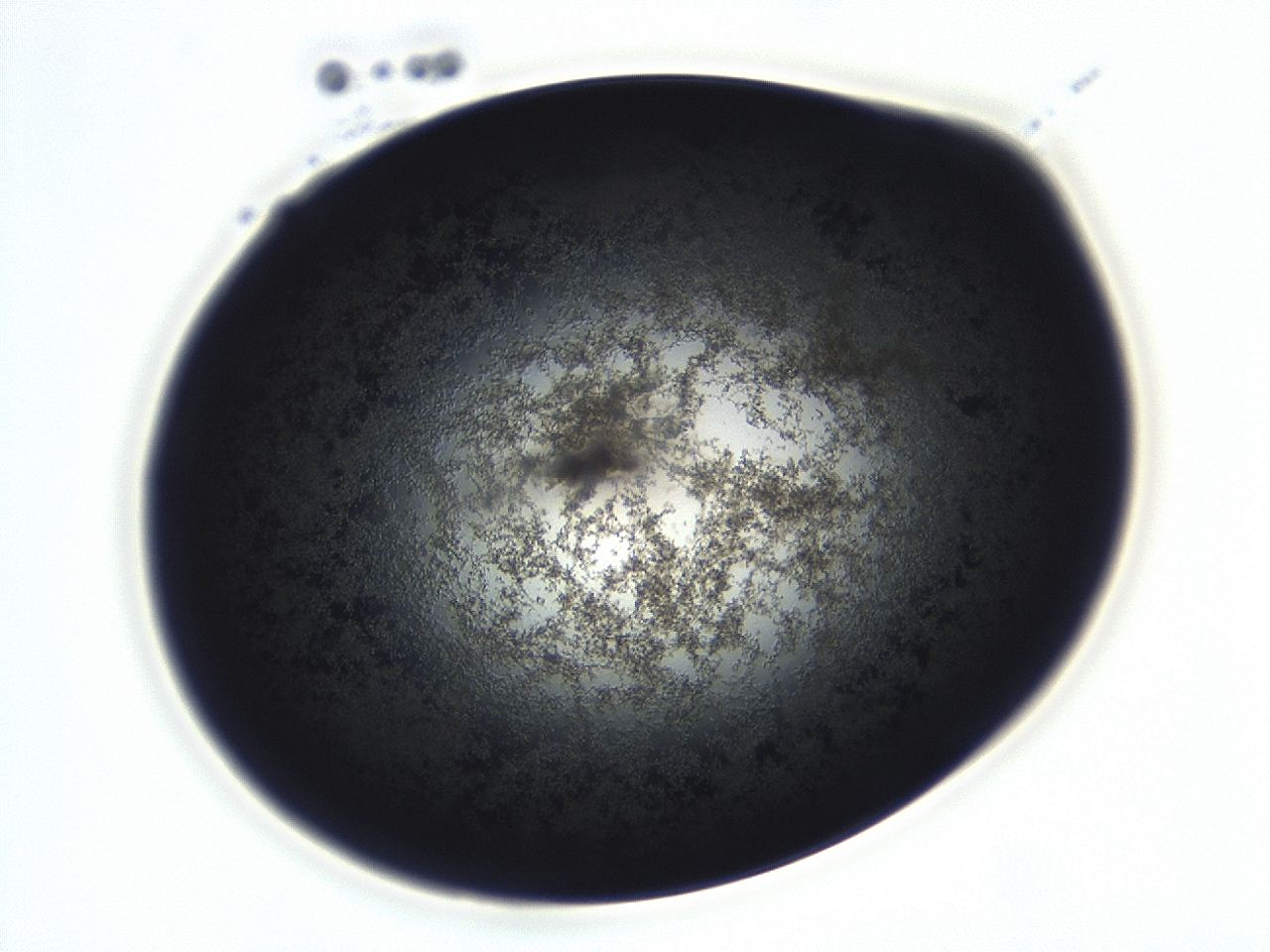 0493_D1_ImagerDefaults_3.jpg
