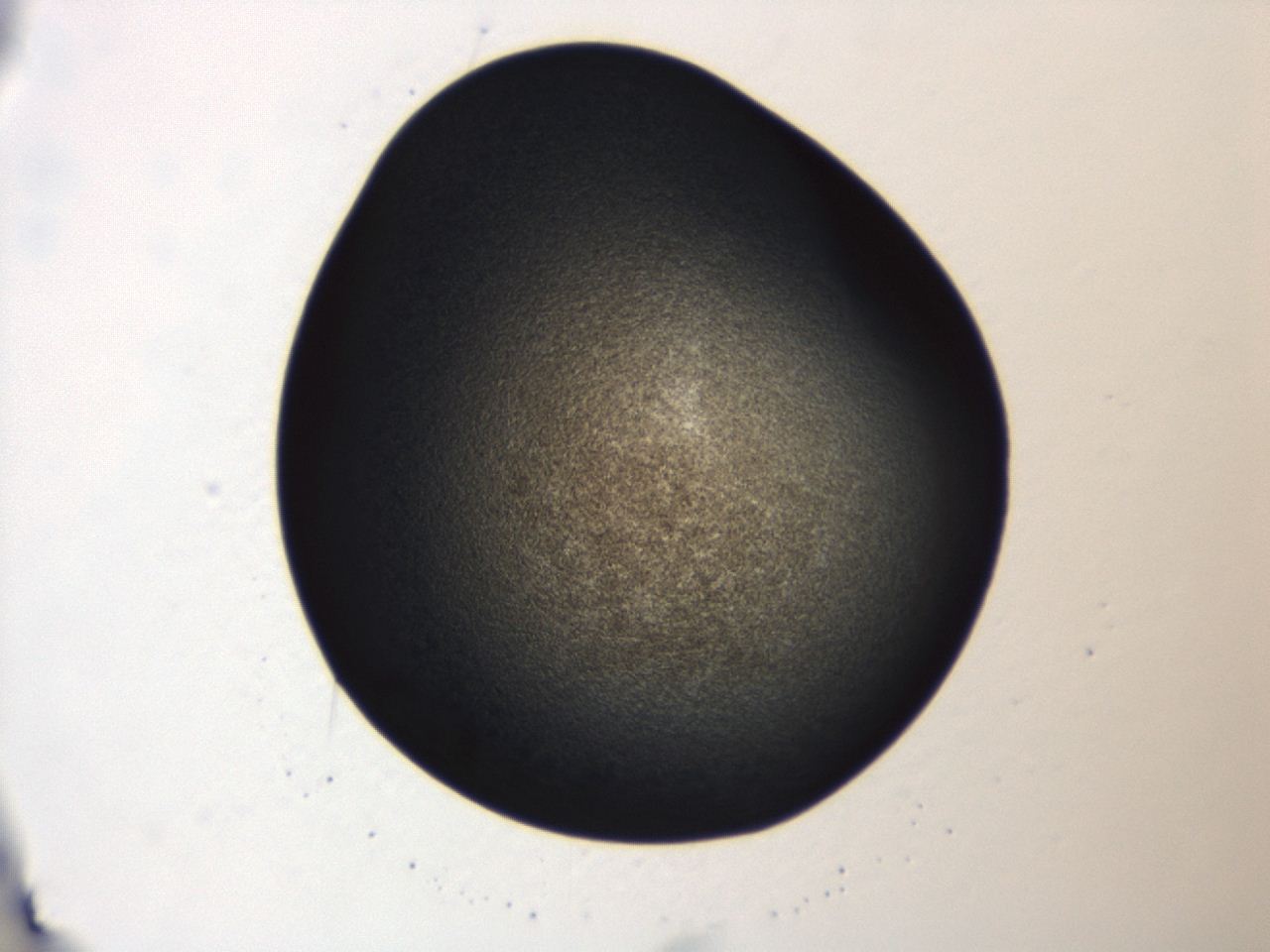 0493_A8_ImagerDefaults_3.jpg