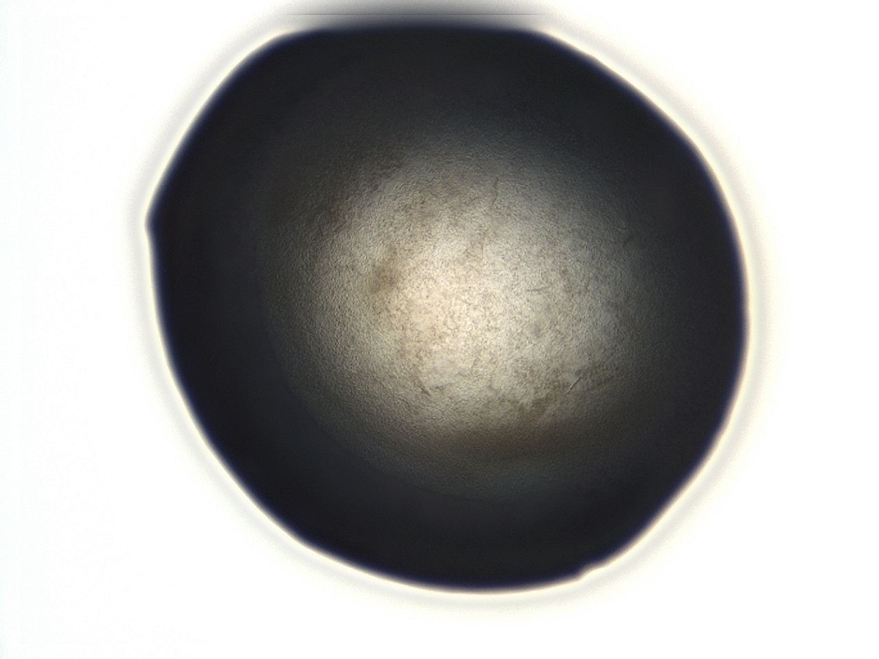 0493_D11_ImagerDefaults_3.jpg