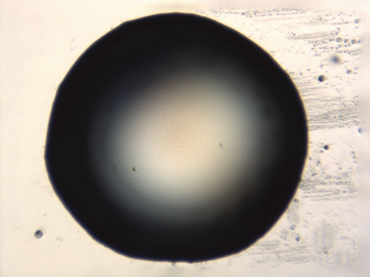 0493_A2_ImagerDefaults_1.jpg