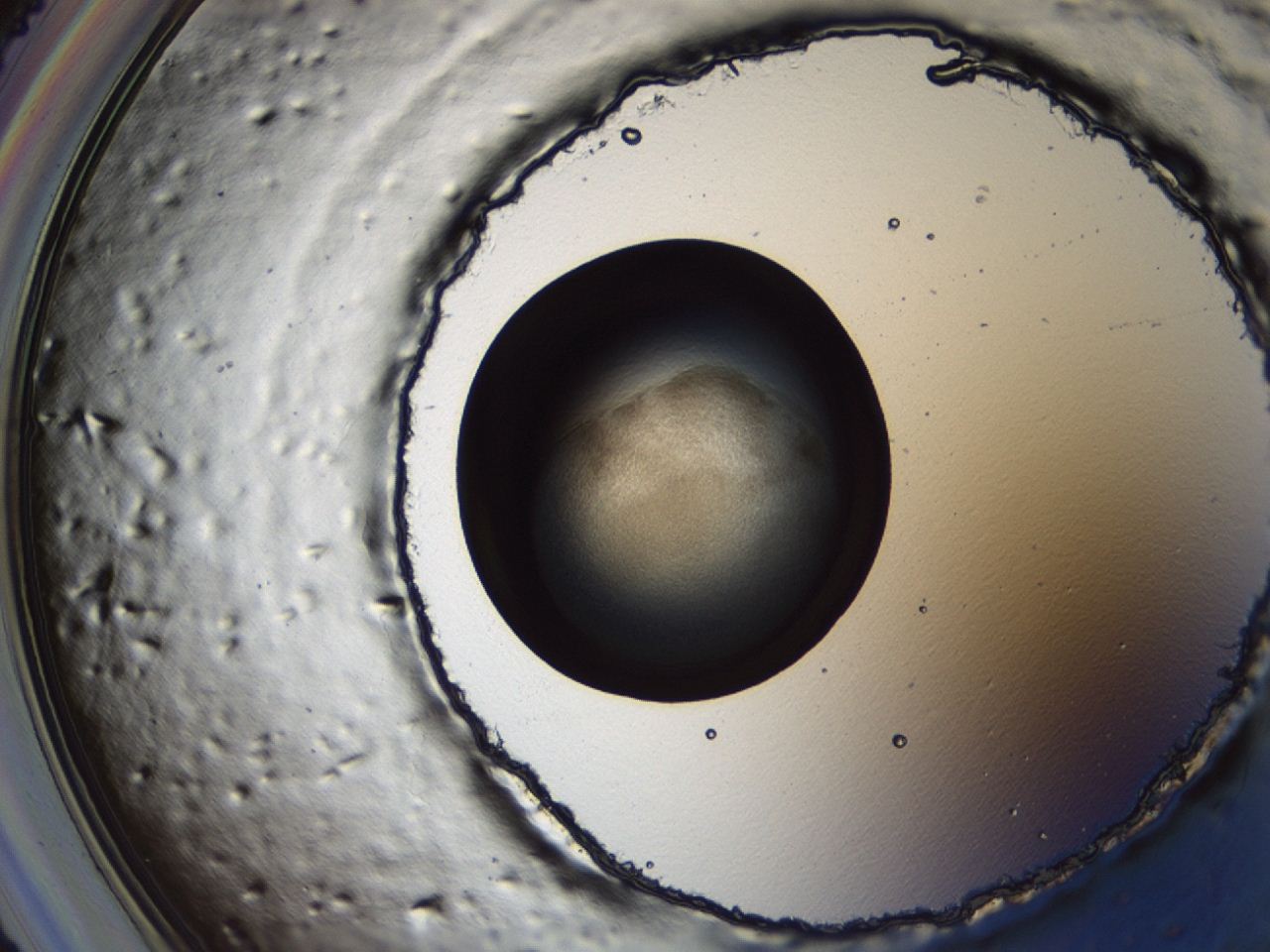 0493_A1_ImagerDefaults_3.jpg