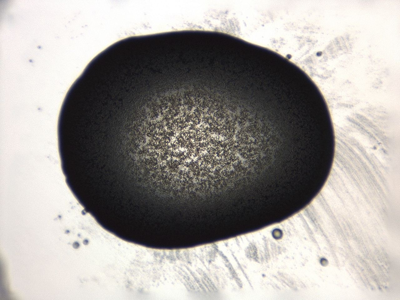 0493_A3_ImagerDefaults_3.jpg
