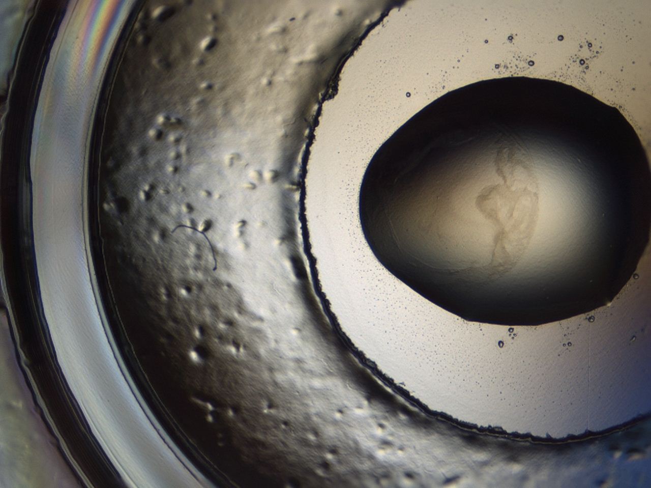 0493_A5_ImagerDefaults_3.jpg