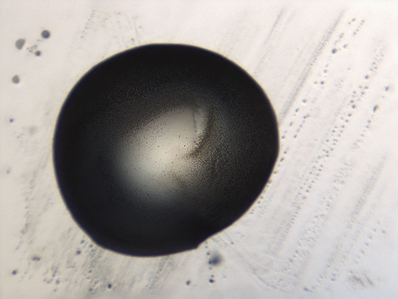 0493_A6_ImagerDefaults_3.jpg