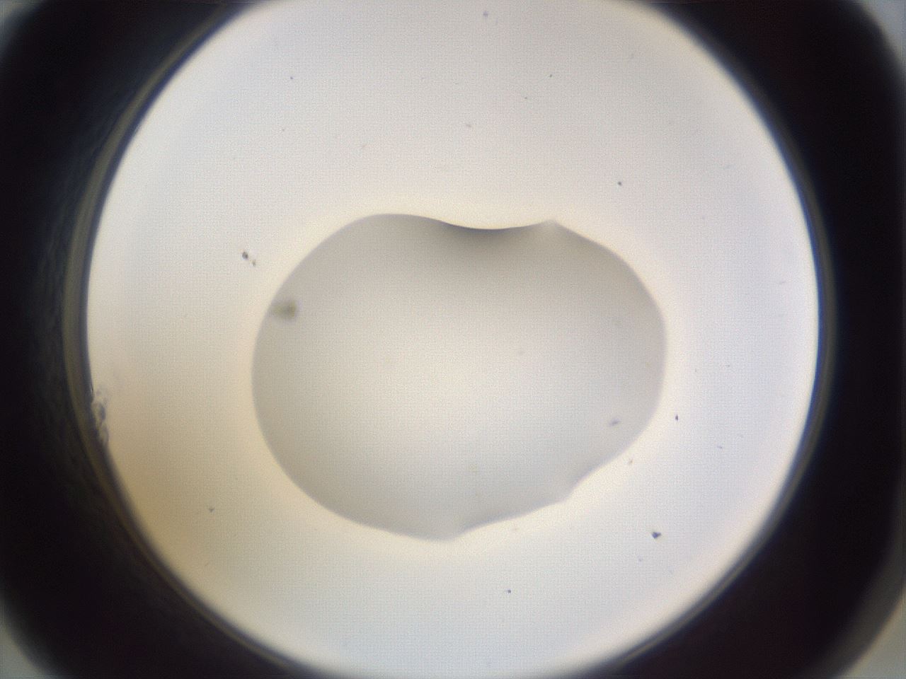 folderID512_plateID3512_batchID20839_wellNum11_profileID1_d2_r311832_ef.jpg