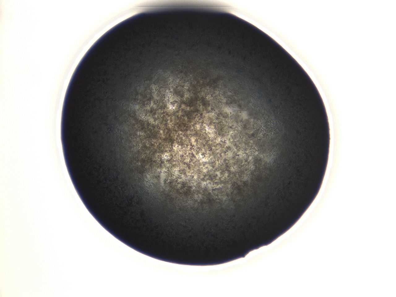 0493_A11_ImagerDefaults_3.jpg