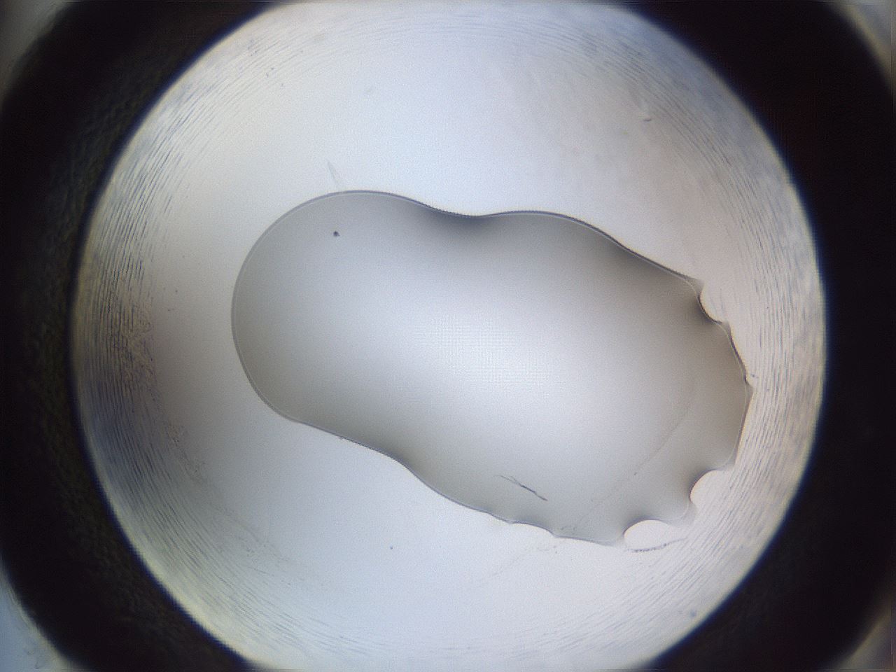 folderID512_plateID3512_batchID20839_wellNum86_profileID1_d2_r311982_ef.jpg