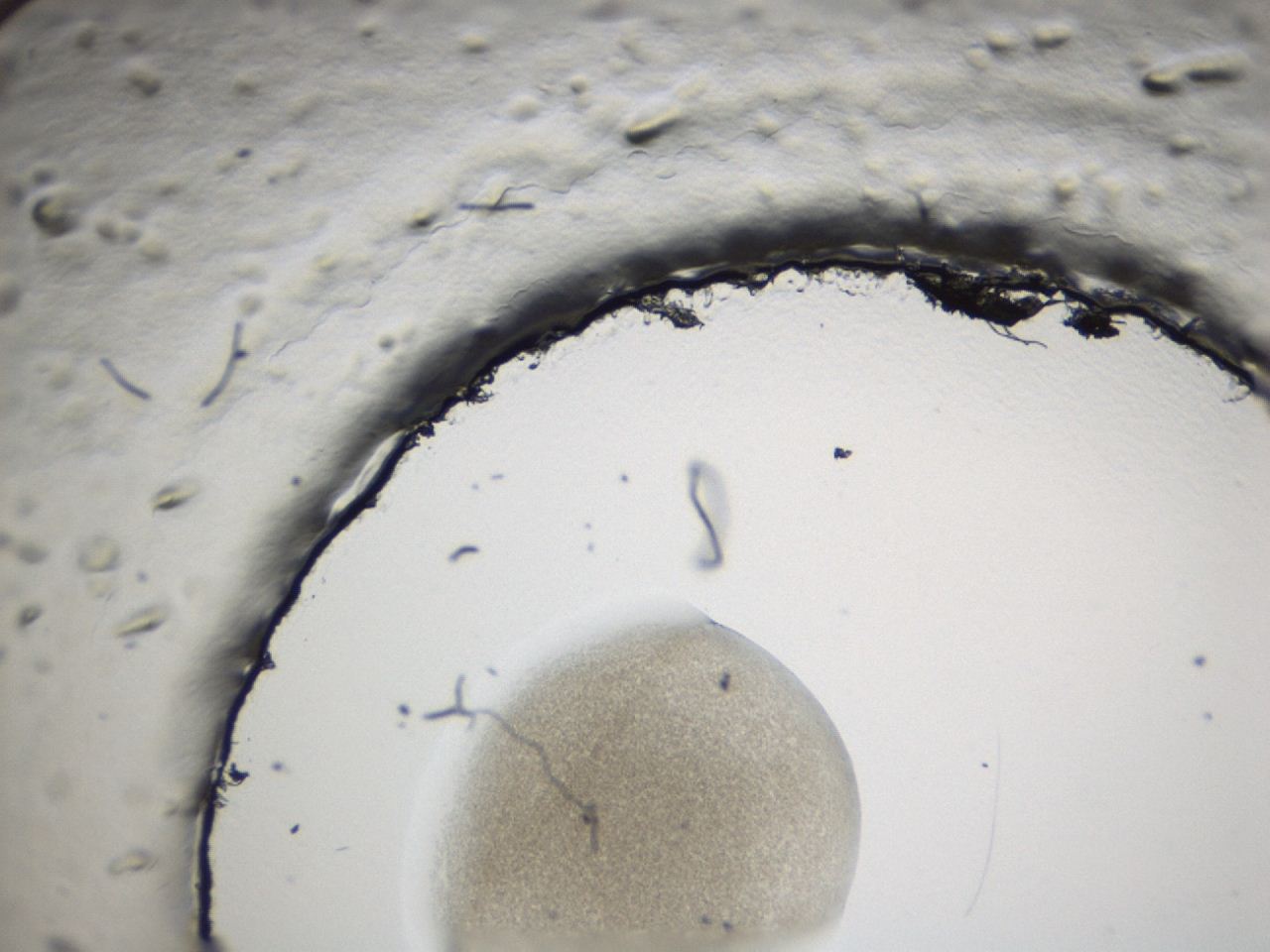 0493_A12_ImagerDefaults_3.jpg